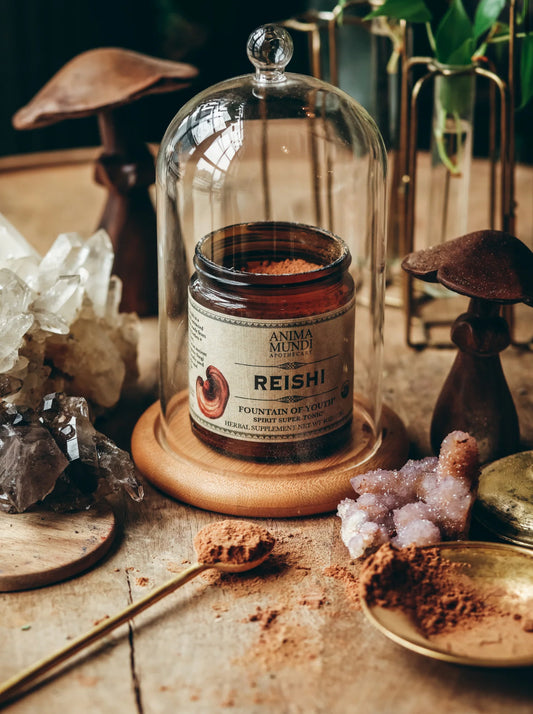 REISHI | Spirit Super-Tonic