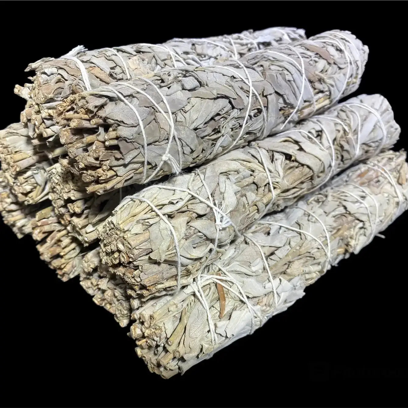 White California Sage 9 inches
