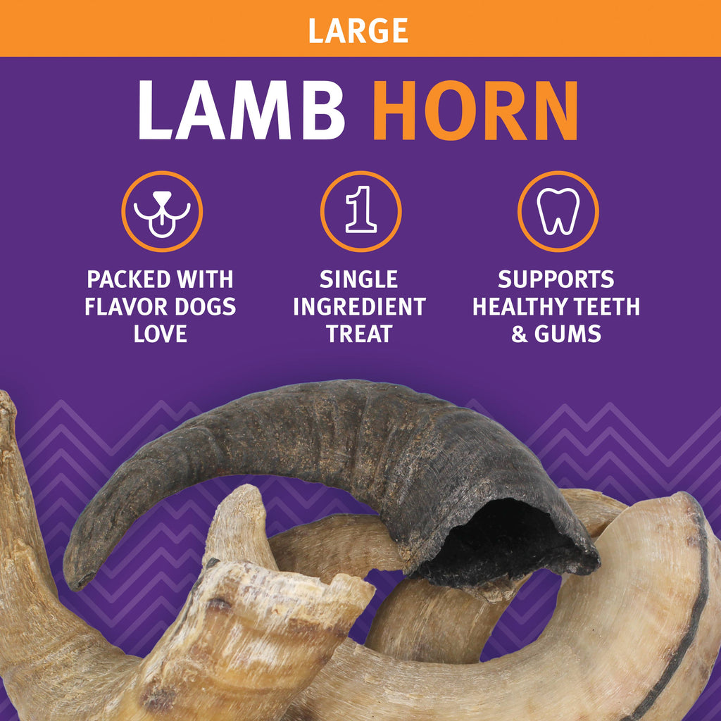 Icelandic+ Large Lamb Horn Dog Treat
