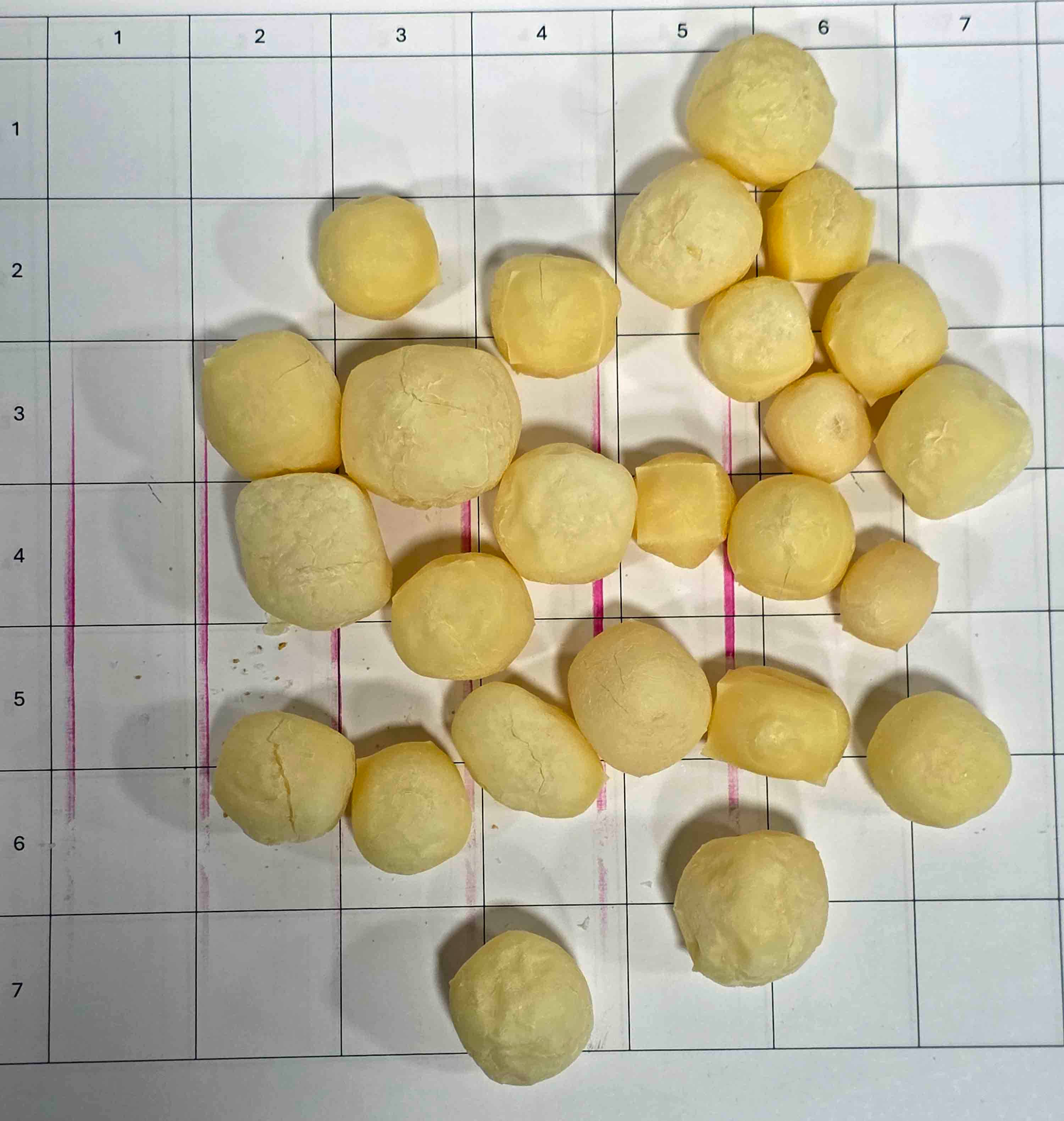 Yak Cheese Puffs Dog treat bag 3.4 oz (Your/Our/No label)