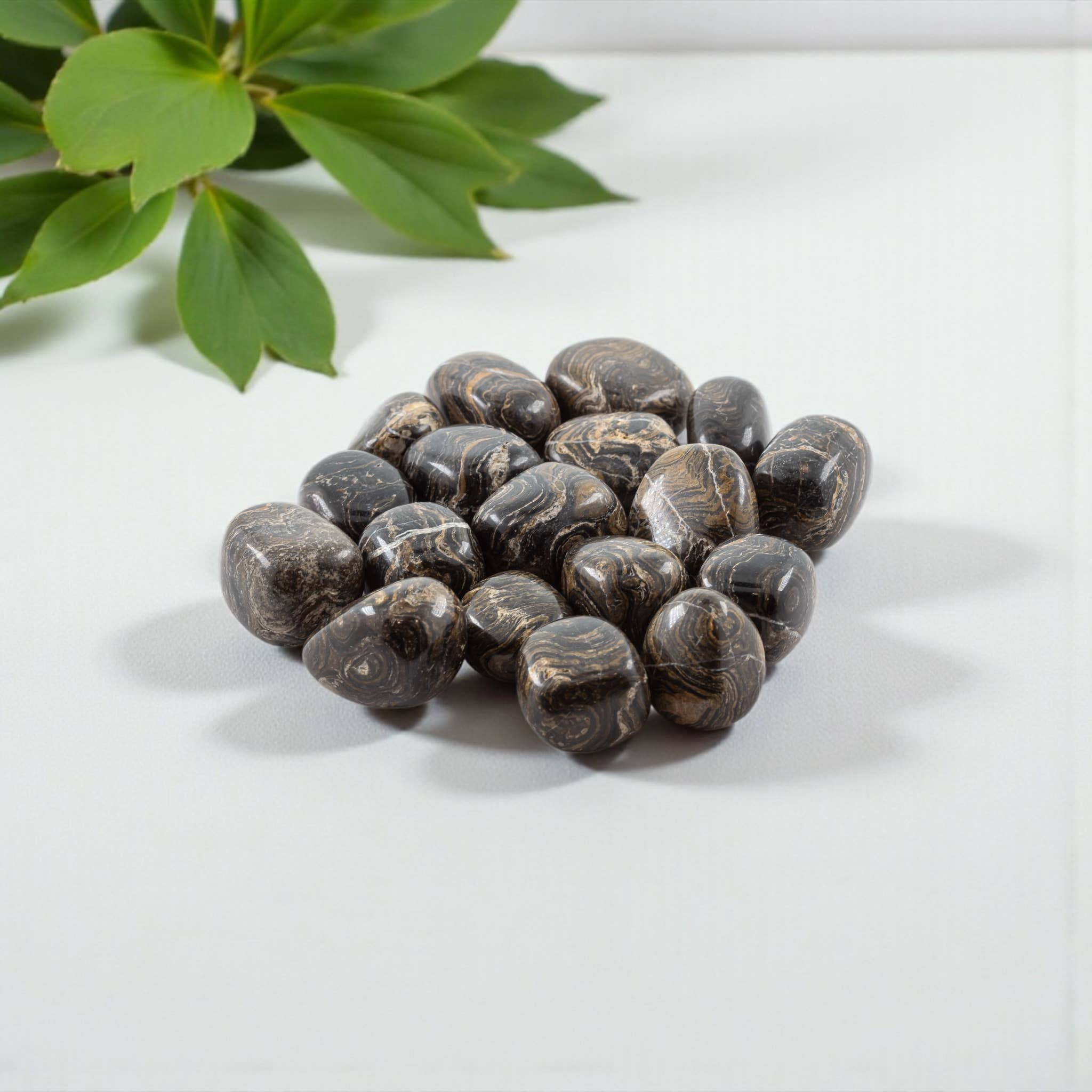 Stromatolite Tumbled 1/2 Kg-1lbs