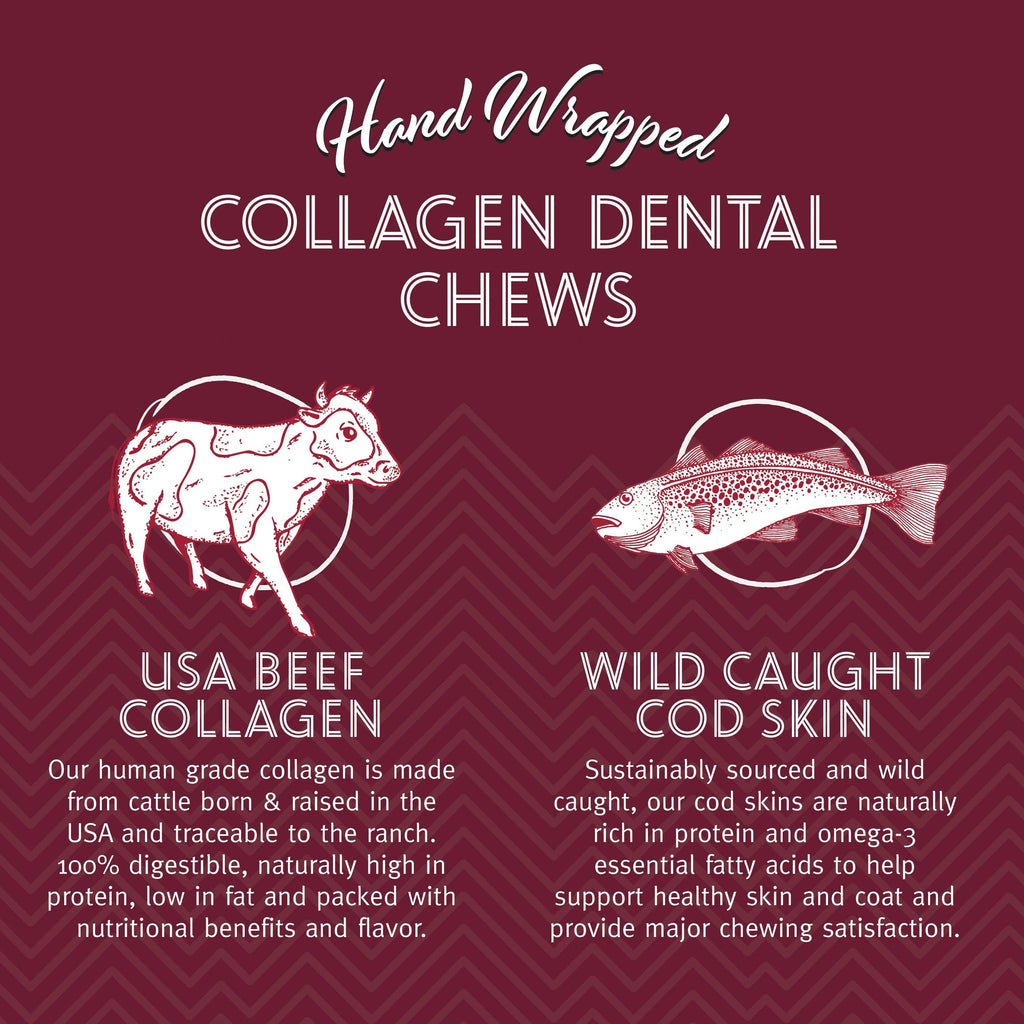 Beef Collagen Dental Chew Wrapped With Cod Skin  8"