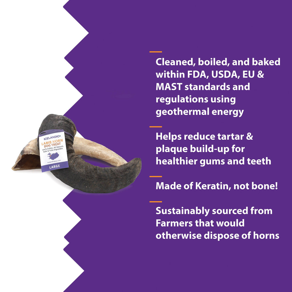Icelandic+ Large Lamb Horn Dog Treat