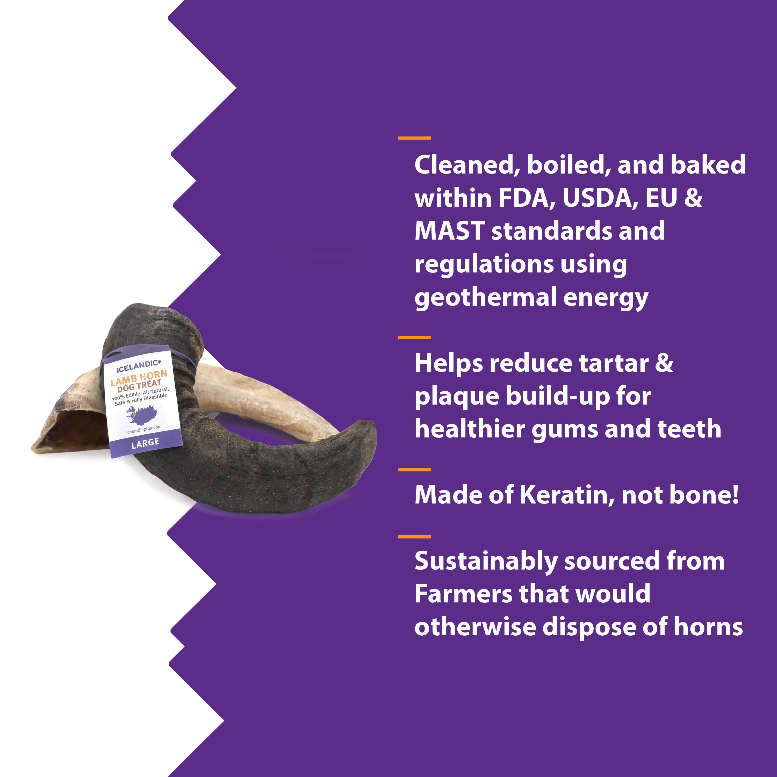 Icelandic+ Large Lamb Horn Dog Treat