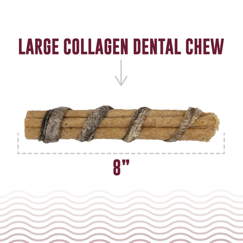 Beef Collagen Dental Chew Wrapped With Cod Skin  8"