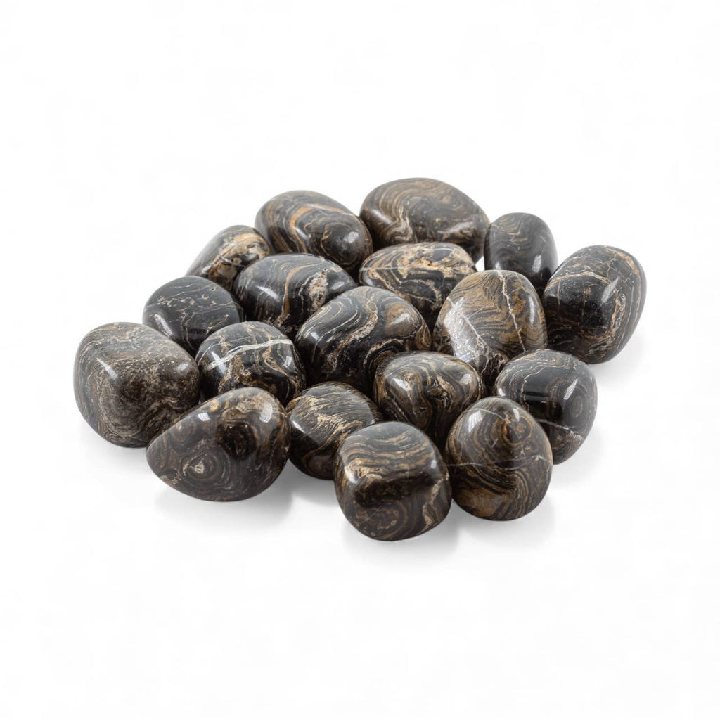Stromatolite Tumbled 1/2 Kg-1lbs