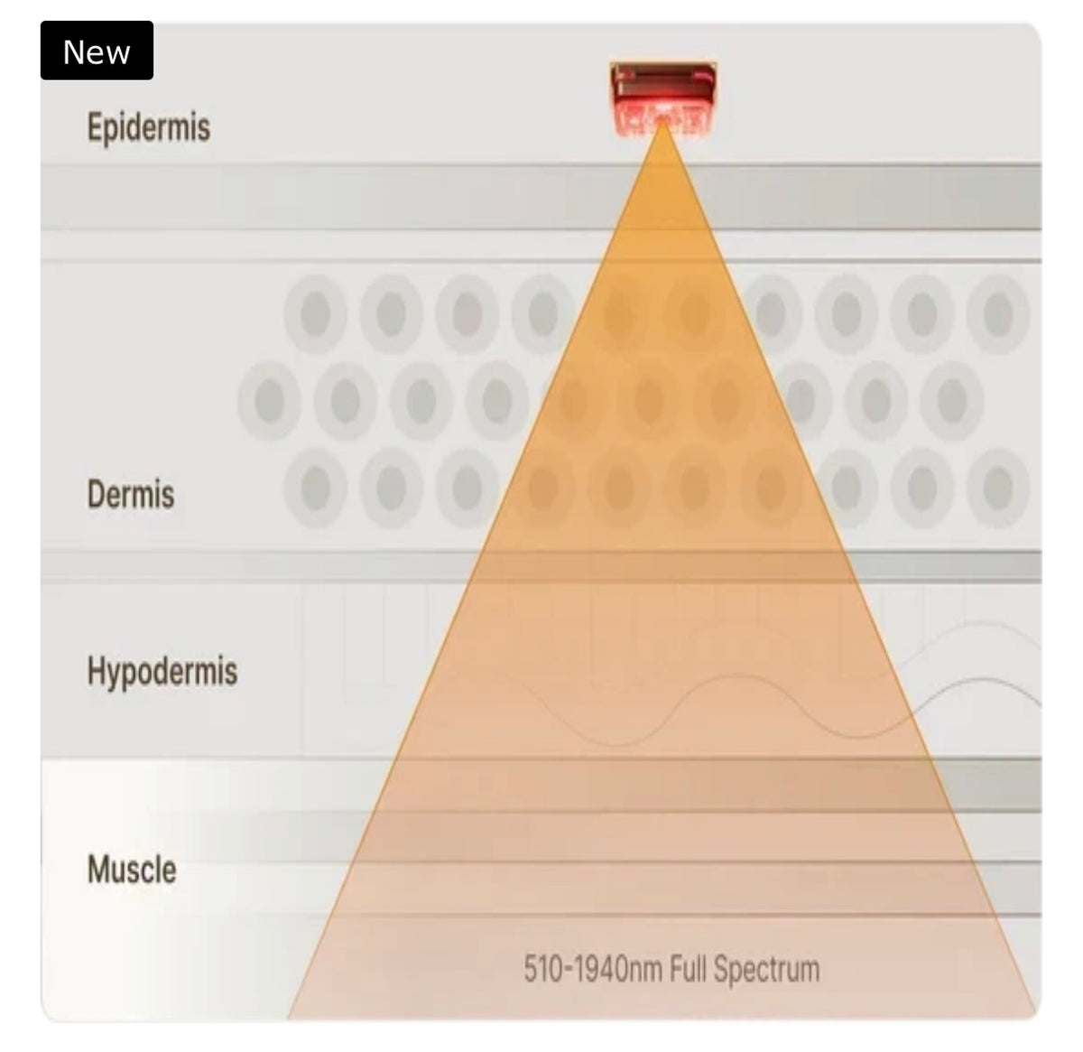 6D Laser & EMS Anti-Aging Therapy Mask