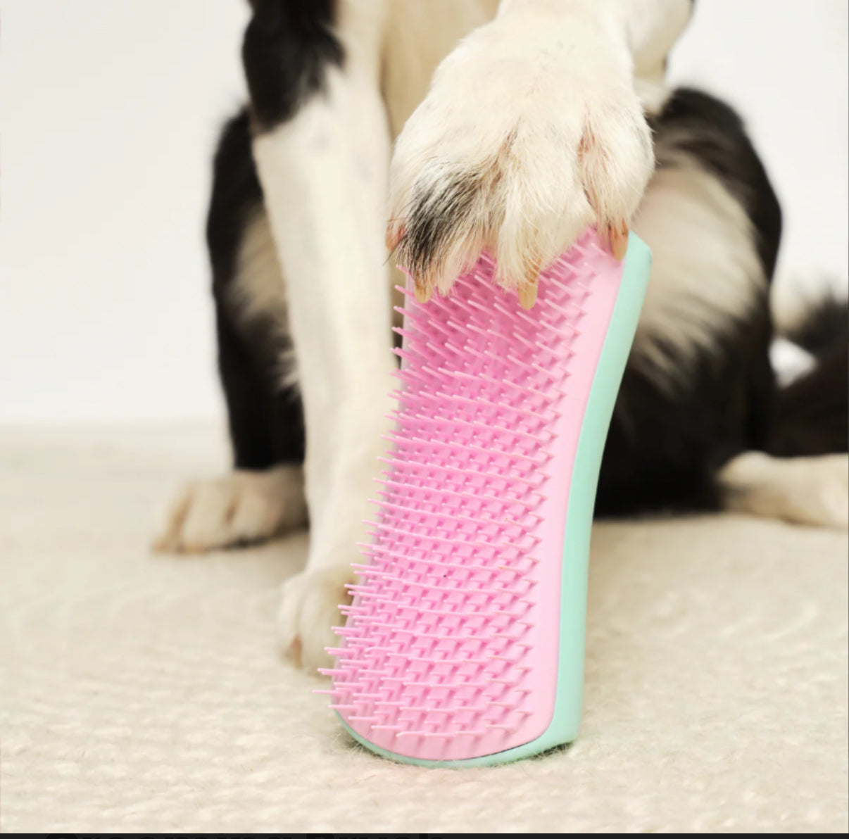 De-shedding Dog Grooming Brush
