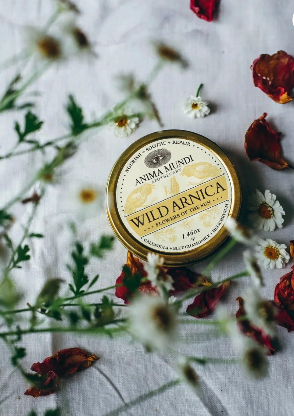 ARNICA BOTANICAL BALM | Flowers of the Sun