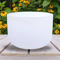 Crystal Singing Bowl - 12" Note F