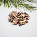 Mookaite Jasper Polished Tumbled 10-20mm 1KG/2lbs