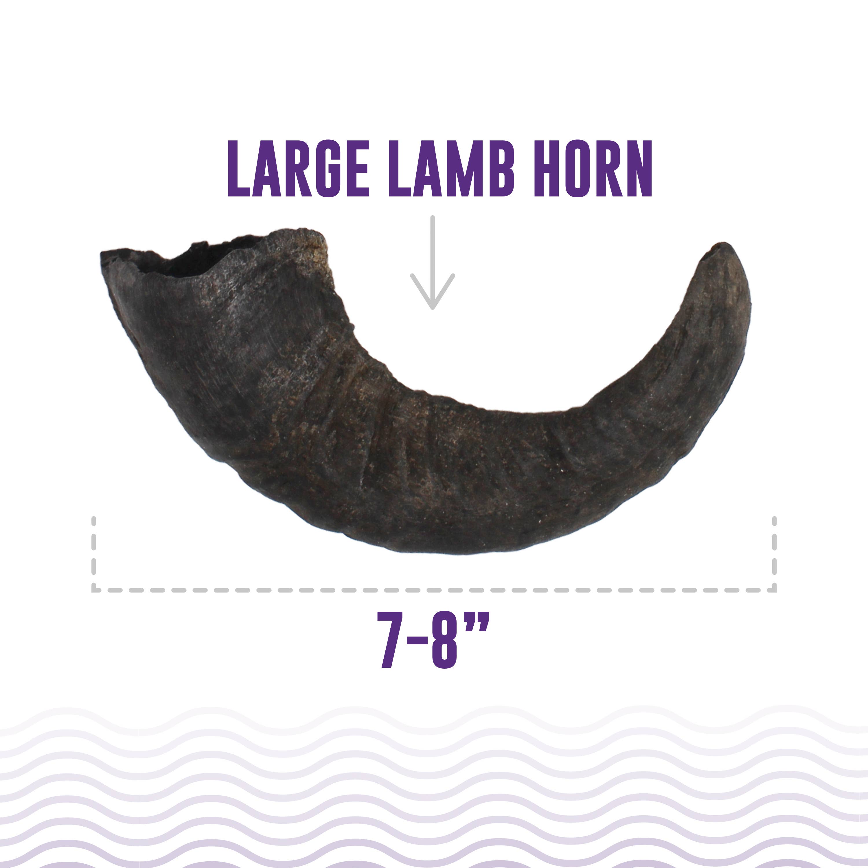 Icelandic+ Large Lamb Horn Dog Treat