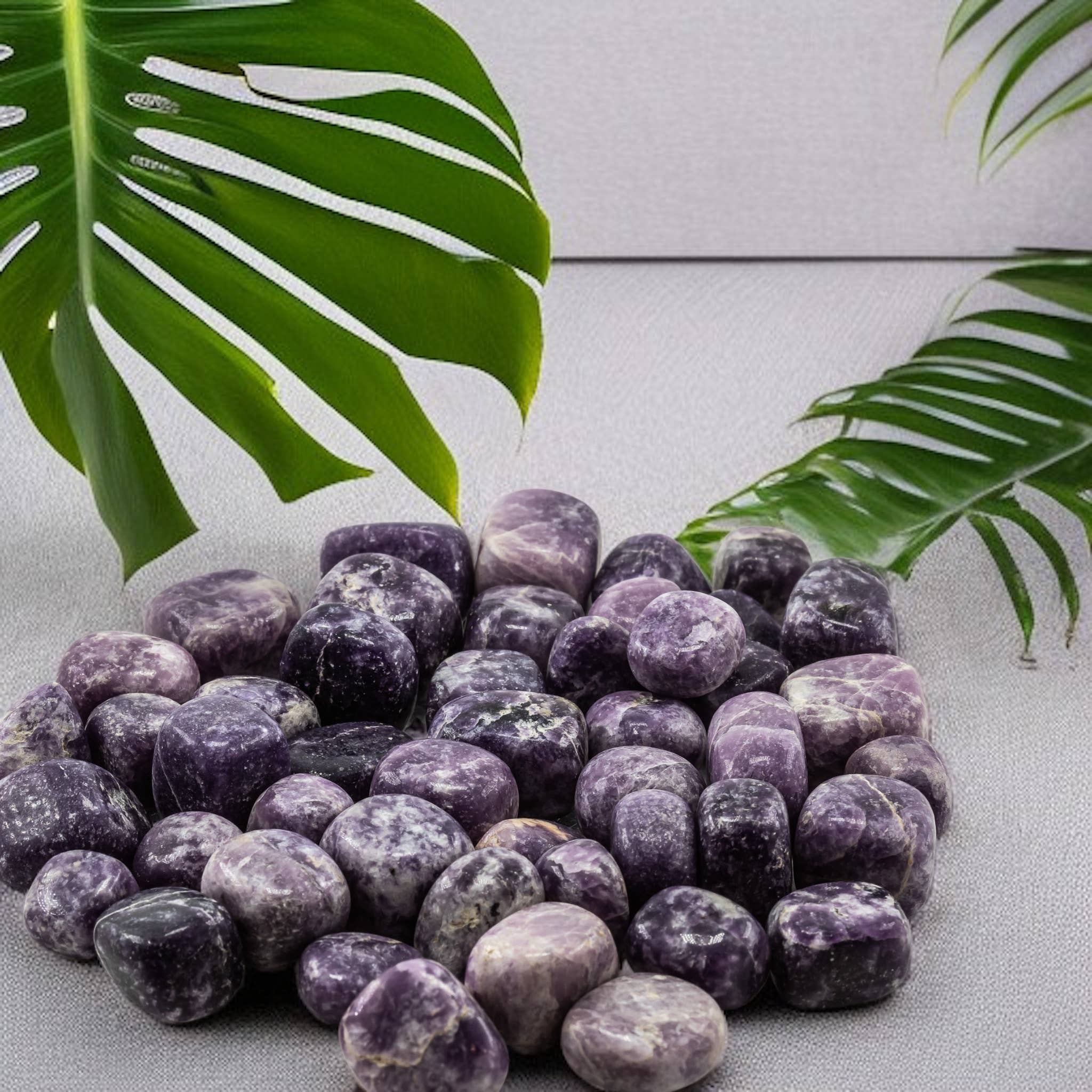 Lepidolite Tumbled 20-30mm 1 KG / 2.2lbs