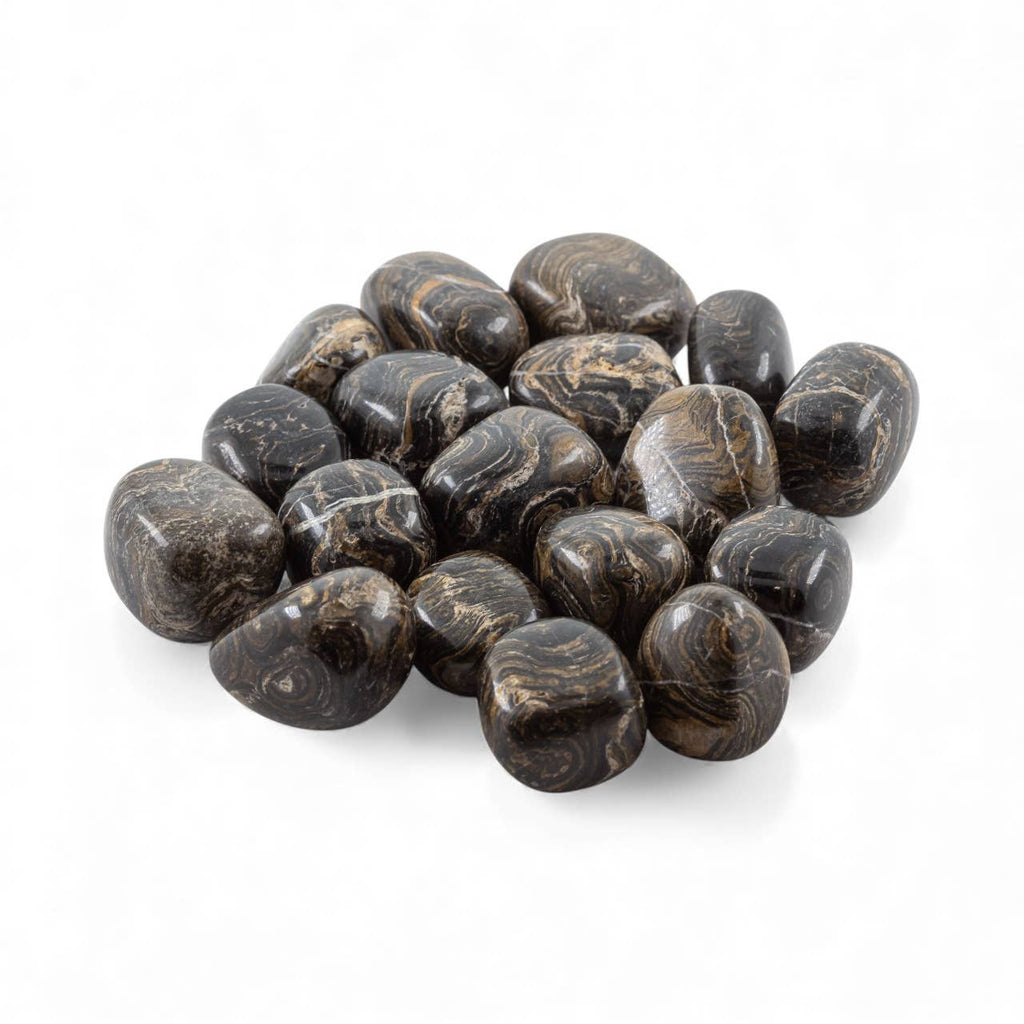 Stromatolite Tumbled 1/2 Kg-1lbs