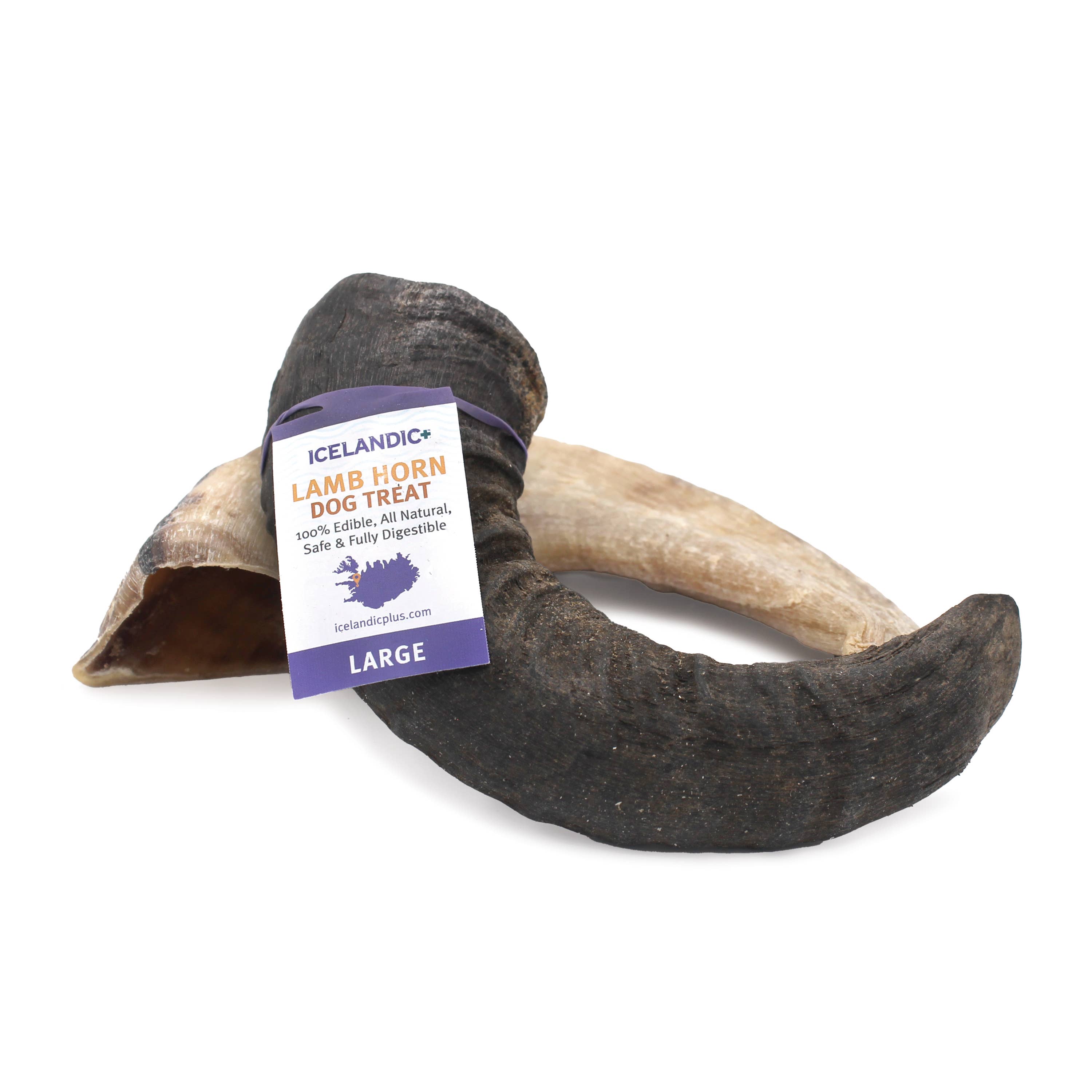 Icelandic+ Large Lamb Horn Dog Treat