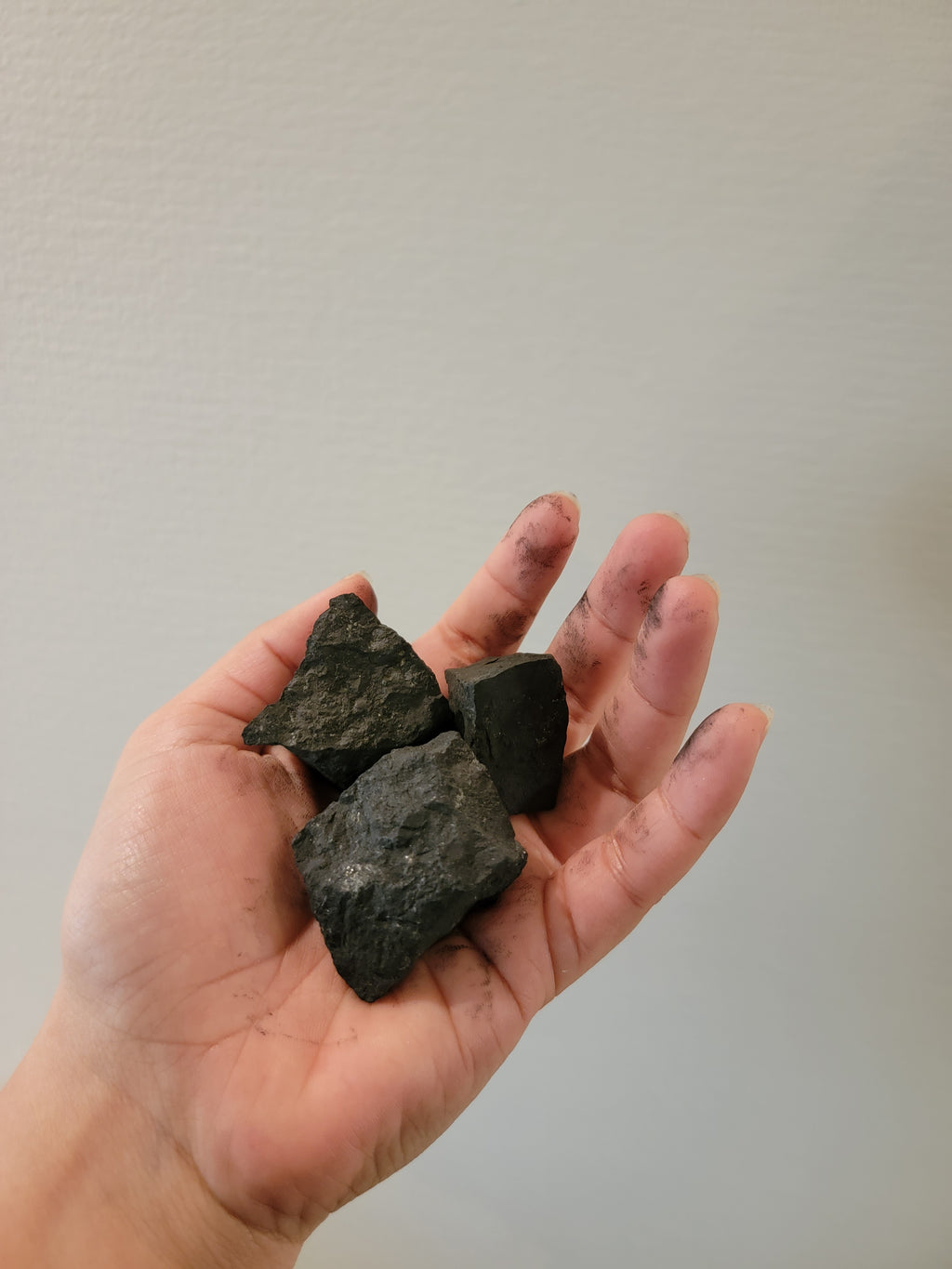 Shungite bag