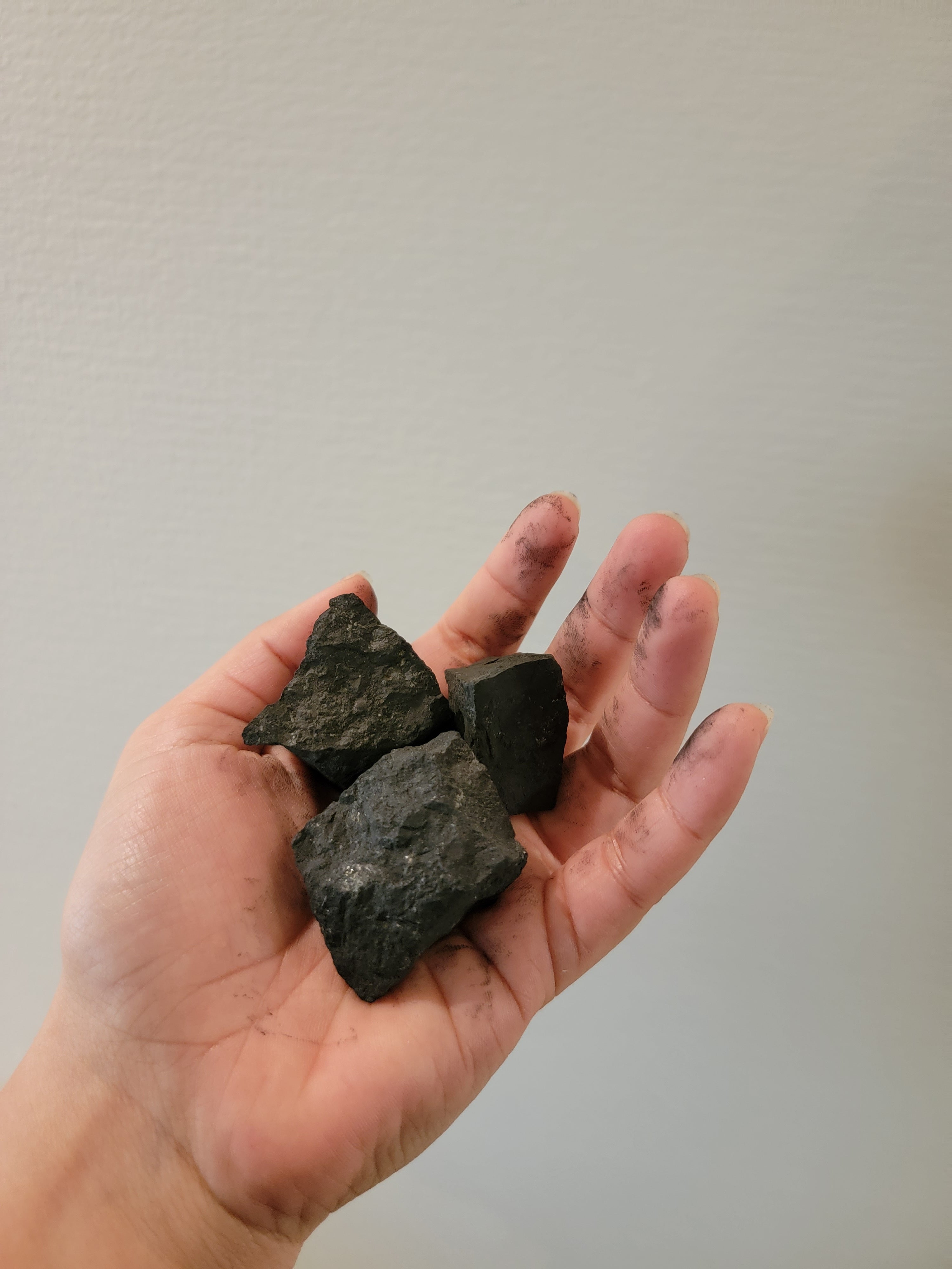 Shungite bag