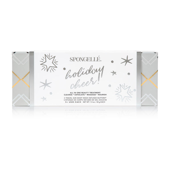 Holiday Cheer Holiday Ornament Gift Set