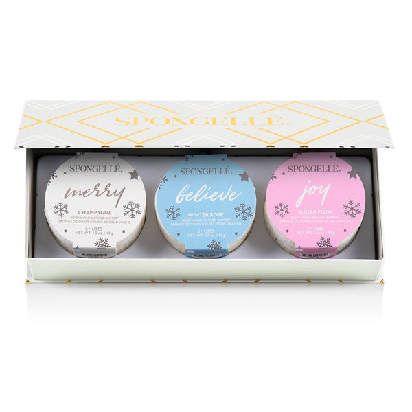 Holiday Cheer Holiday Ornament Gift Set
