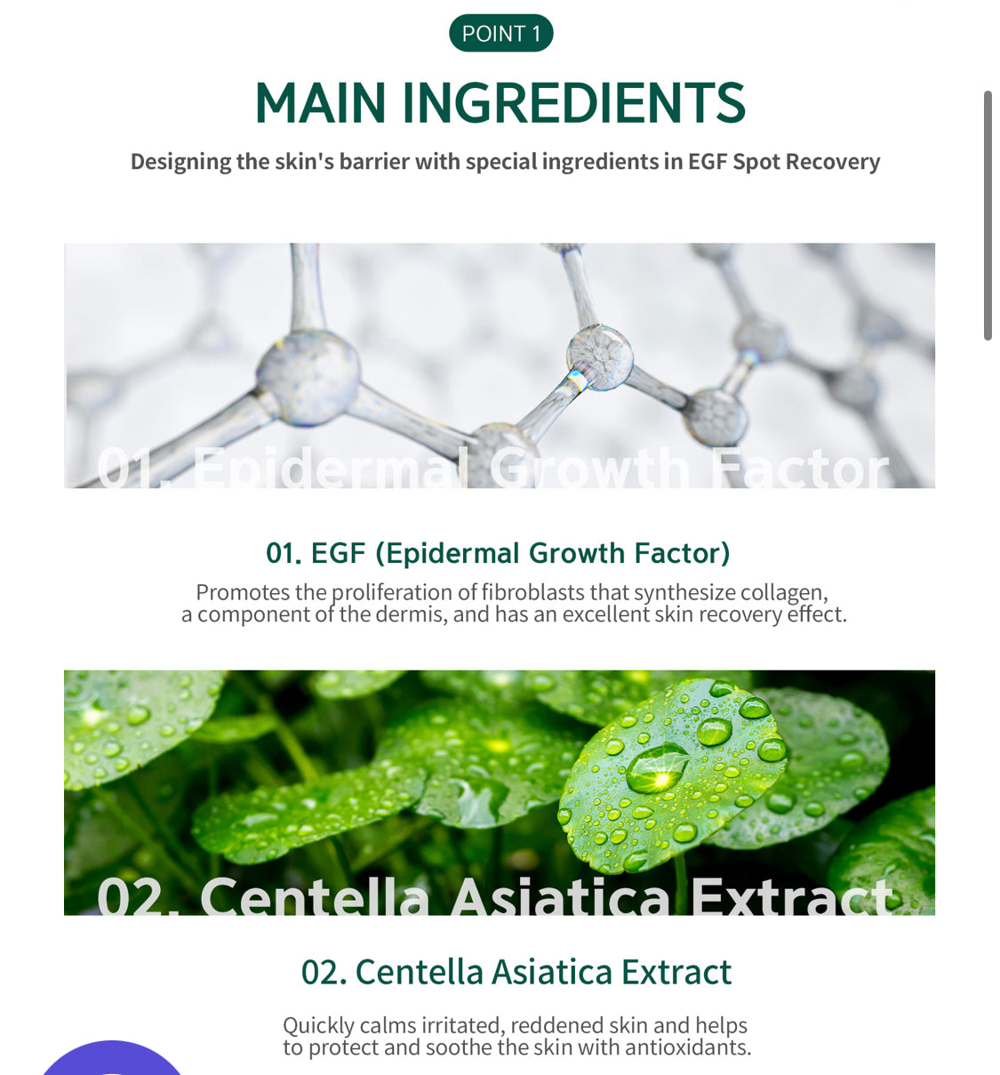 EGF Spot Treatment